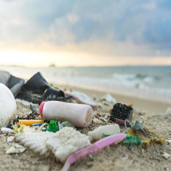 nomadoo-team-against-waste-in-the-sea